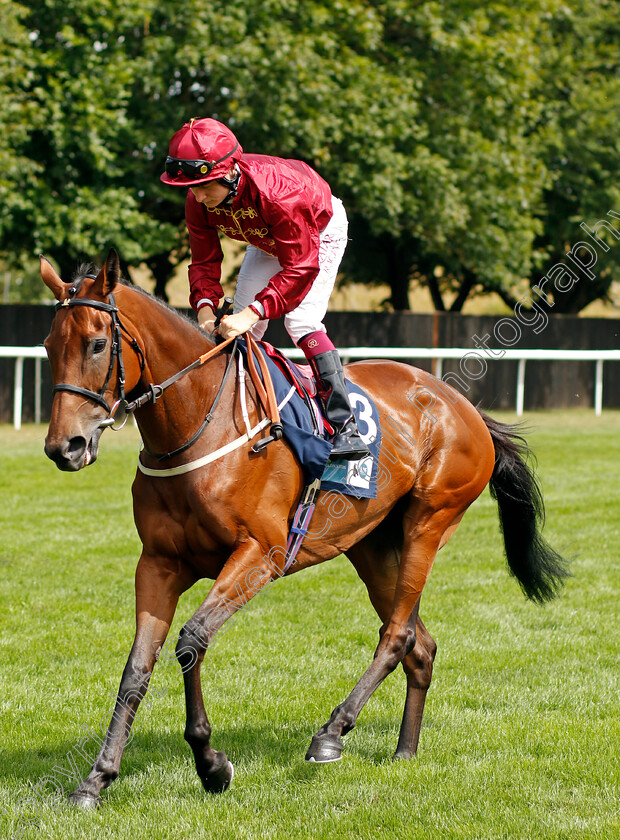 Rose-Of-Kildare 
 ROSE OF KILDARE (Cieren Fallon)
Newmarket 30th July 2022 - Pic Steven Cargill / Racingfotos.com