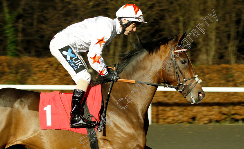 Al-Battar-0002 
 AL BATTAR (Stevie Donohoe)
Kempton 12 Dec 2018 - Pic Steven Cargill / Racingfotos.com