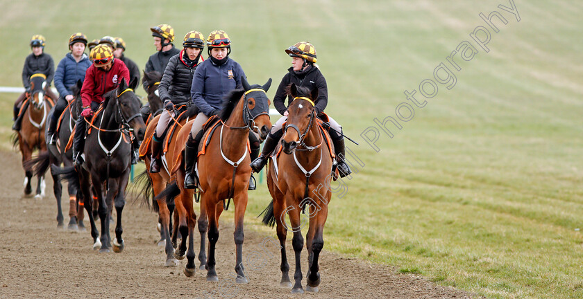 Newmarket-0012 
 A string of racehorses from Sir Mark Prescott walk back to their stables after exercising on Warren Hill Newmarket 23 Mar 2018 - Pic Steven Cargill / Racingfotos.com