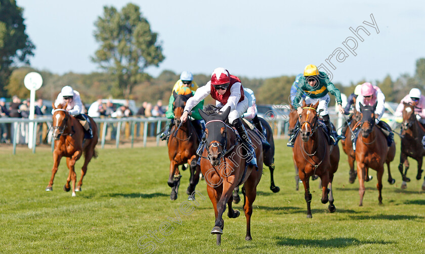 Fanny-Logan-0004 
 FANNY LOGAN (Robert Havlin) wins The EBF Stallions John Musker Fillies Stakes
Yarmouth 18 Sep 2019 - Pic Steven Cargill / Racingfotos.com