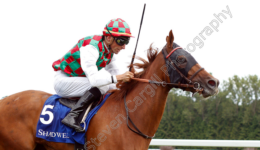 Bayan-0003 
 BAYAN (Ioritz Mendizabal) wins The Shadwell Arabian Stallions Hatta International Stakes
Newbury 28 Jul 2019 - Pic Steven Cargill / Racingfotos.com