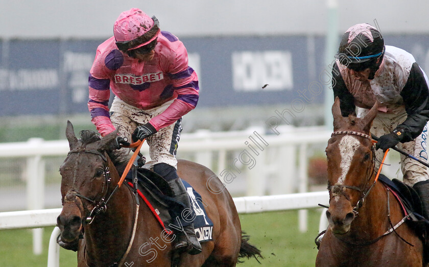 Crambo-0004 
 CRAMBO (left, Jonathan Burke) beats HIDDENVALLEY LAKE (right) in The Howden Long Walk Hurdle
Ascot 21 Dec 2024 - Pic Steven Cargill / Racingfotos.com