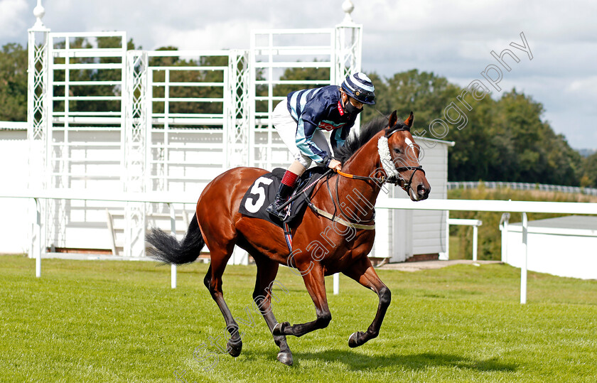 Wholelotafun-0001 
 WHOLELOTAFUN (Laura Coughlan) winner of The Chichester Observer Nursery
Goodwood 28 Aug 2020 - Pic Steven Cargill / Racingfotos.com