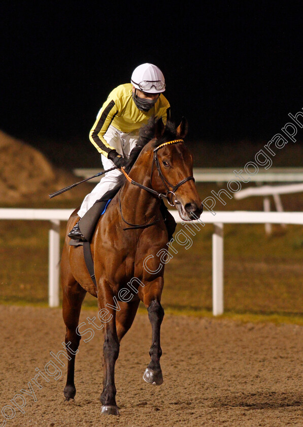 Father-Of-Jazz-0001 
 FATHER OF JAZZ (Callum Shepherd) winner of The Racing Welfare Novice Stakes
Chelmsford 14 Jan 2021 - Pic Steven Cargill / Racingfotos.com