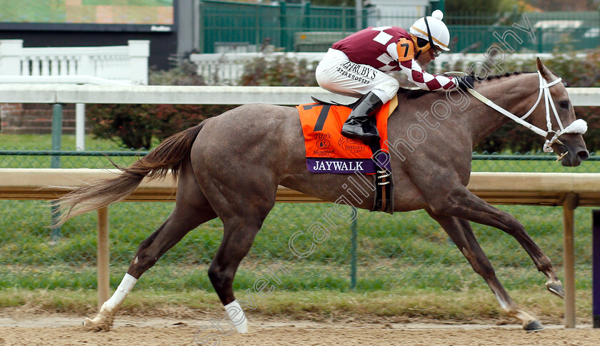 Jaywalk-0001 
 JAYWALK (Joel Rosario) wins The Breeders' Cup Juvenile Fillies
Churchill Downs 2 Nov 2018 - Pic Steven Cargill / Racingfotos.com