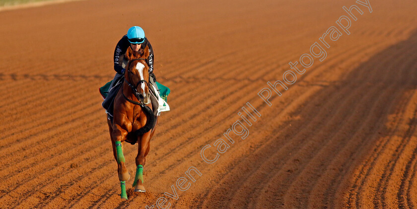 Derma-Sotogake-0003 
 DERMA SOTOGAKE training for The Saudi Cup
King Abdulaziz Racecourse, Saudi Arabia 21 Feb 2024 - Pic Steven Cargill / Racingfotos.com