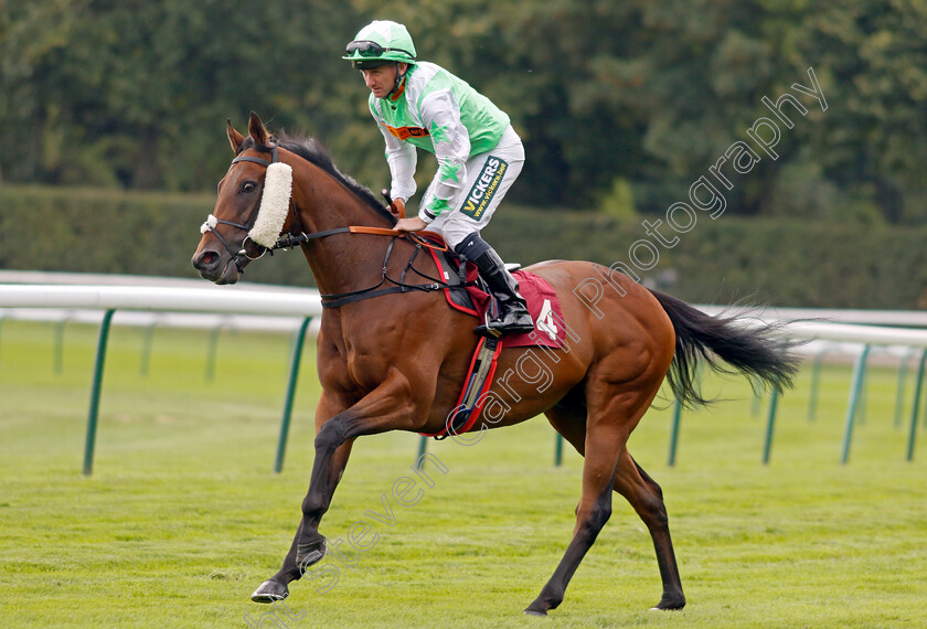 Abolish-0001 
 ABOLISH (Paul Hanagan)
Haydock 2 Sep 2022 - Pic Steven Cargill / Racingfotos.com