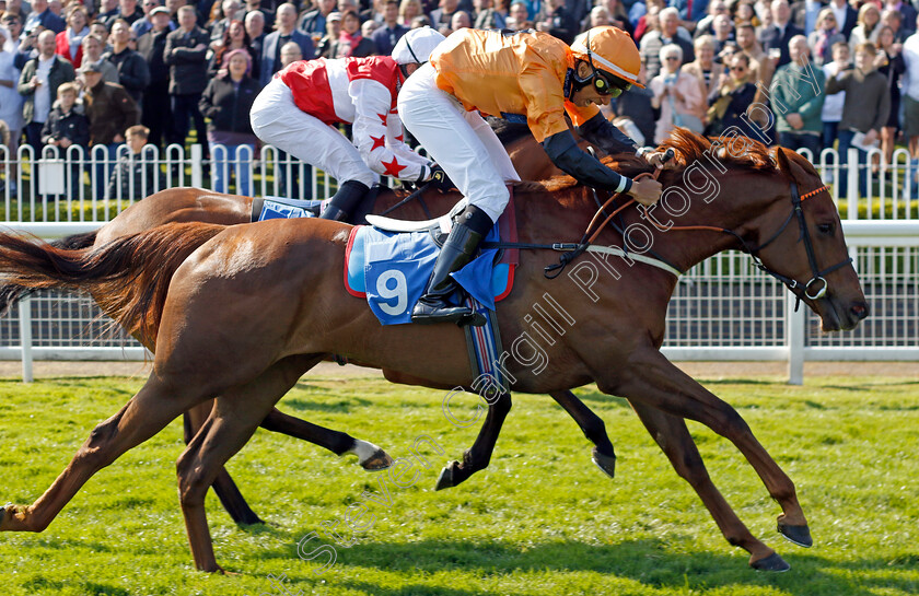 Castana-Dia-0005 
 CASTANA DIA (Kaiya Fraser) wins The Doom Bar Amber Ale Handicap
Leicester 23 Apr 2022 - Pic Steven Cargill / Racingfotos.com