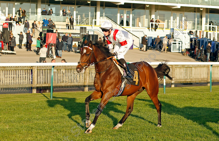 Cambria-Legend-0001 
 CAMBRIA LEGEND (Ross Coakley)
Newmarket 25 Oct 2023 - Pic Steven Cargill / Racingfotos.com