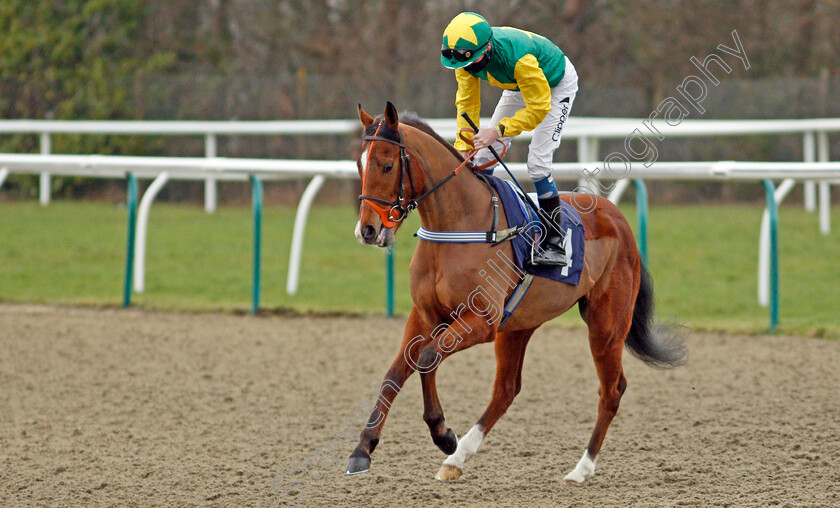 Hooves-Like-Jagger-0001 
 HOOVES LIKE JAGGER (Kieran Shoemark)
Lingfield 6 Feb 2021 - Pic Steven Cargill / Racingfotos.com