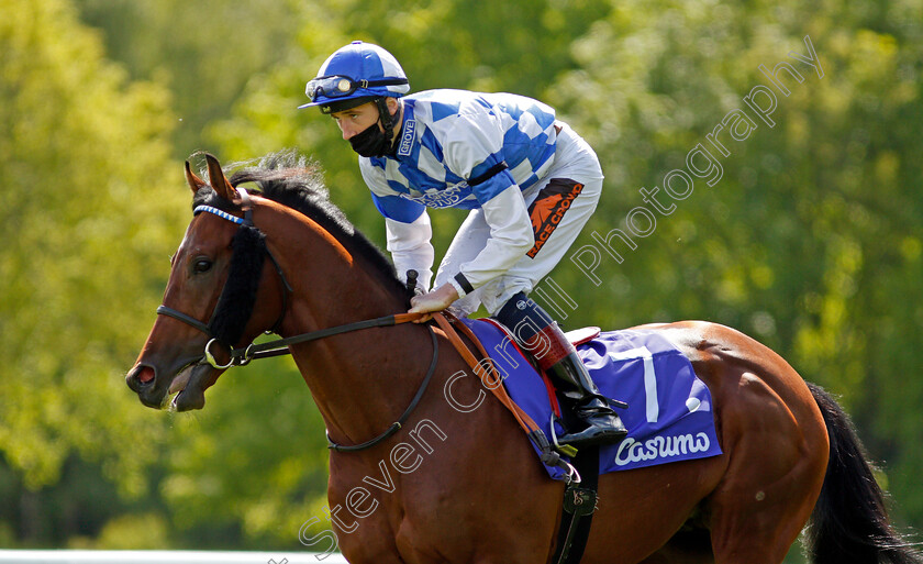 Saint-Lawrence-0002 
 SAINT LAWRENCE (David Egan)
Haydock 22 May 2021 - Pic Steven Cargill / Racingfotos.com