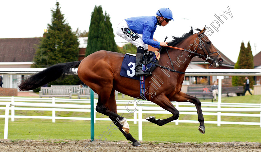 Jalaad-0001 
 JALAAD (Jason Watson)
Lingfield 4 Oct 2018 - Pic Steven Cargill / Racingfotos.com