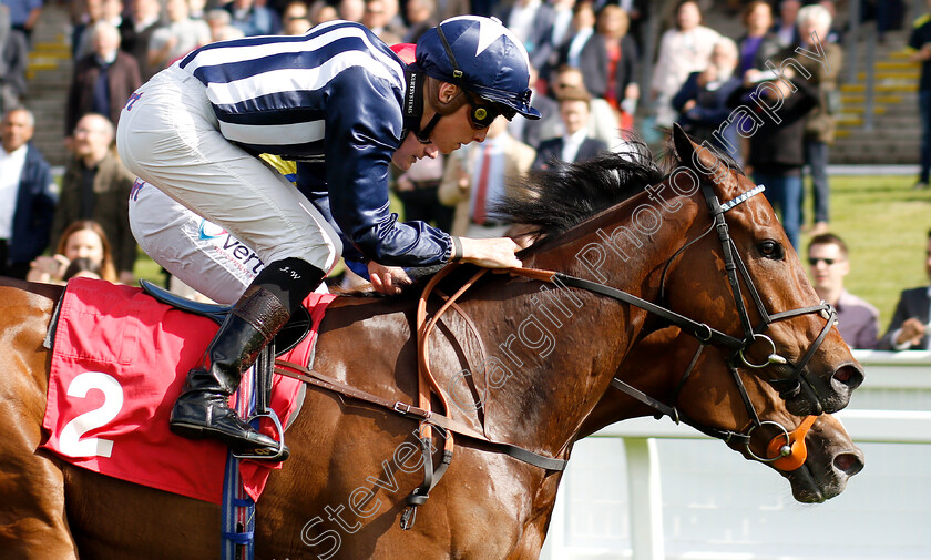 Ragnar-0007 
 RAGNAR (Jason Watson) wins The Beck Celebrating 25 Years Of Excellence Handicap
Sandown 14 Jun 2019 - Pic Steven Cargill / Racingfotos.com