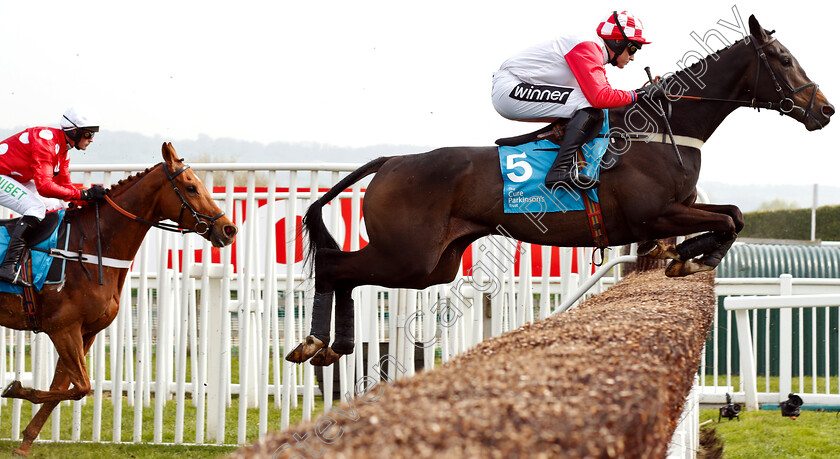 Highway-One-O-One-0001 
 HIGHWAY ONE O ONE (Tom Cannon)
Cheltenham 17 Apr 2019 - Pic Steven Cargill / Racingfotos.com