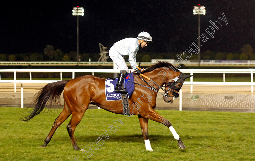 Desert-Peace-0002 
 DESERT PEACE (Tadhg O'Shea)
Meydan 27 Jan 2023 - Pic Steven Cargill / Racingfotos.com