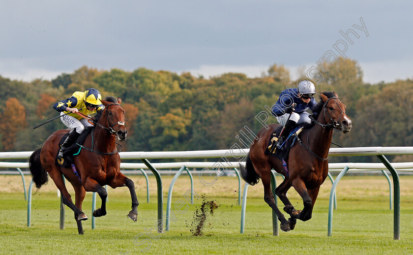 Set-Point-0003 
 SET POINT (Ben Curtis) beats ENCOUNTER ORDER (left) in The EBF Maiden Stakes
Nottingham 14 Oct 2020 - Pic Steven Cargill / Racingfotos.com