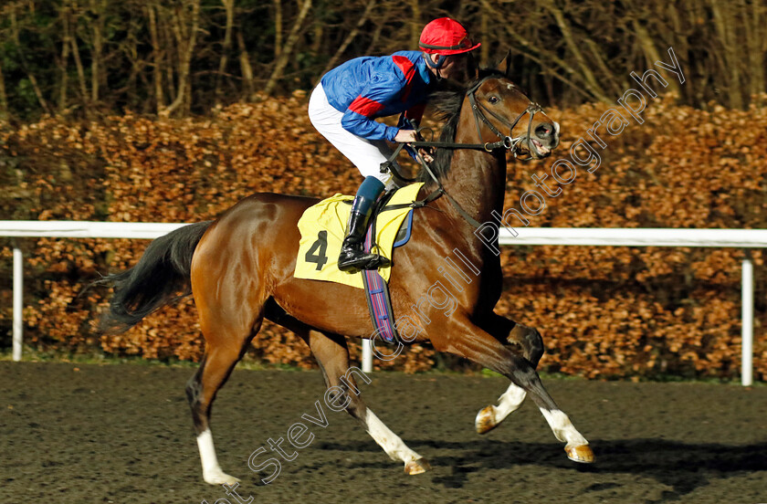 Lightning-Bay-0001 
 LIGHTNING BAY (Darragh Keenan)
Kempton 14 Feb 2024 - Pic Steven Cargill / Racingfotos.com