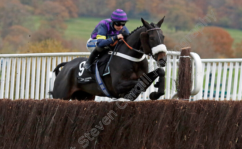 Abuffalosoldier-0012 
 ABUFFALOSOLDIER (Sean Bowen) wins The Holland Cooper Handicap Chase
Cheltenham 17 Nov 2024 - Pic Steven Cargill / racingfotos.com