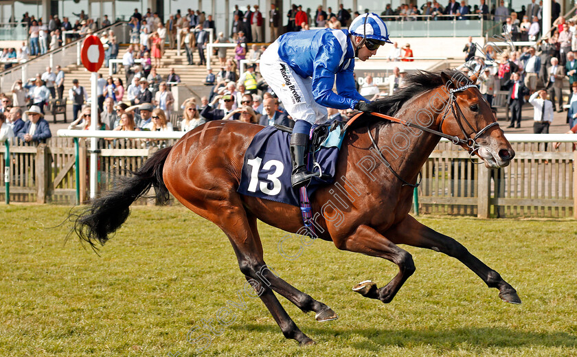 Wadilsafa-0006 
 WADILSAFA (Jim Crowley) wins The Pegasus Profiles Flying Horse Novice Stakes Newmarket 18 May 2018 - Pic Steven Cargill / Racingfotos.com