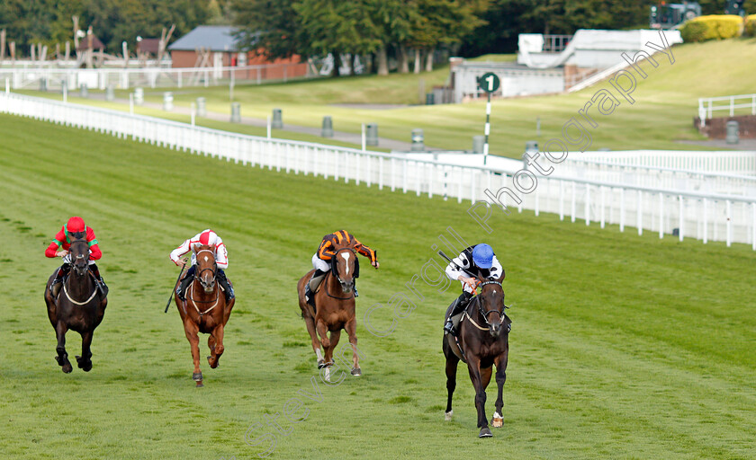 Badenscoth-0002 
 BADENSCOTH (George Downing) wins The Ladbrokes Best Odds Guaranteed Handicap
Goodwood 29 Aug 2020 - Pic Steven Cargill / Racingfotos.com