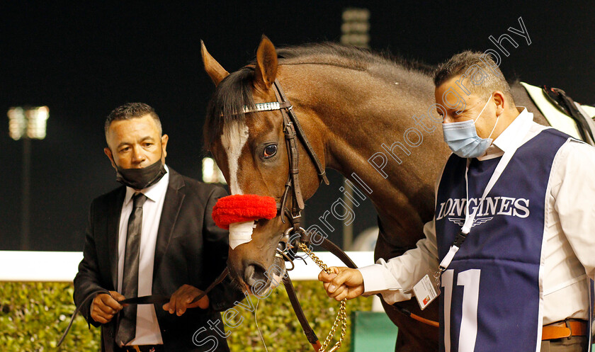 Hot-Rod-Charlie-0002 
 HOT ROD CHARLIE winner of The Al Maktoum Challenge (Round 2)
Meydan, 4 Feb 2022 - Pic Steven Cargill / Racingfotos.com