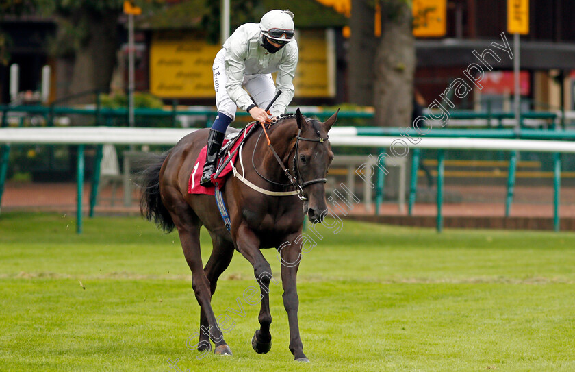 Hochfeld-0001 
 HOCHFELD (Andrew Breslin)
Haydock 3 Sep 2020 - Pic Steven Cargill / Racingfotos.com