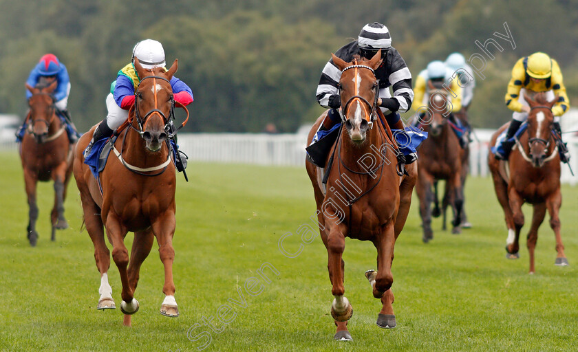 Piselli-Molli-0004 
 PISELLI MOLLI (centre, Morgan Cole) beats WINNETKA (left) in The Byerley Stud Racing Excellence Apprentice Handicap
Salisbury 2 Sep 2021 - Pic Steven Cargill / Racingfotos.com