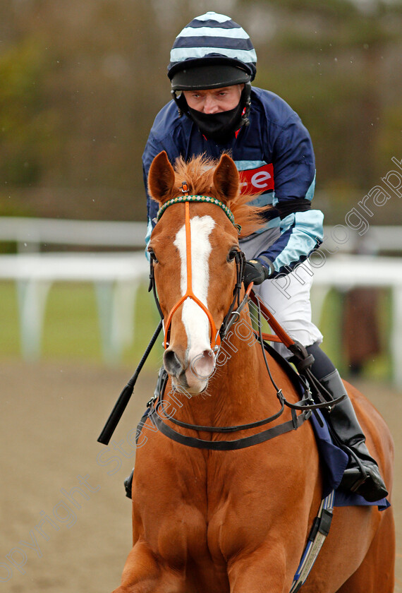 Friendly-Princess-0002 
 FRIENDLY PRINCESS (Liam Keniry)
Lingfield 26 Mar 2021 - Pic Steven Cargill / Racingfotos.com