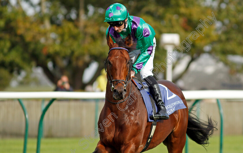 Prague-0012 
 PRAGUE (Daniel Tudhope) winner of The Al Basti Equiworld Dubai Joel Stakes
Newmarket 27 Sep 2024 - Pic Steven Cargill / Racingfotos.com