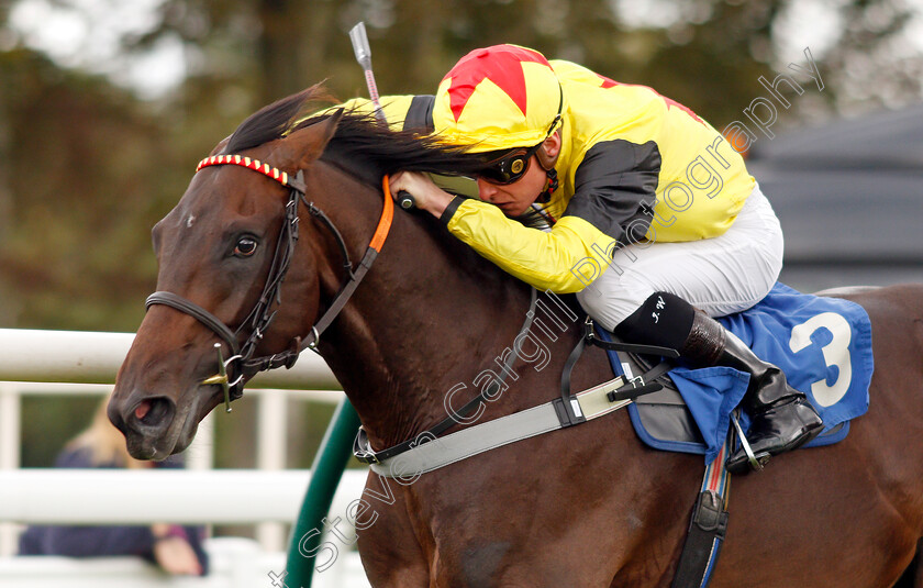 Kenzai-Warrior-0007 
 KENZAI WARRIOR (Jason Watson) wins The Irish Thoroughbred Marketing Novice Stakes
Salisbury 5 Sep 2019 - Pic Steven Cargill / Racingfotos.com