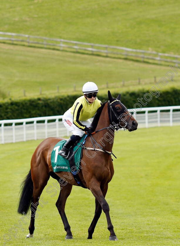 Ambiente-Amigo-0002 
 AMBIENTE AMIGO (Hollie Doyle)
Goodwood 9 Jun 2024 - Pic Steven Cargill / Racingfotos.com