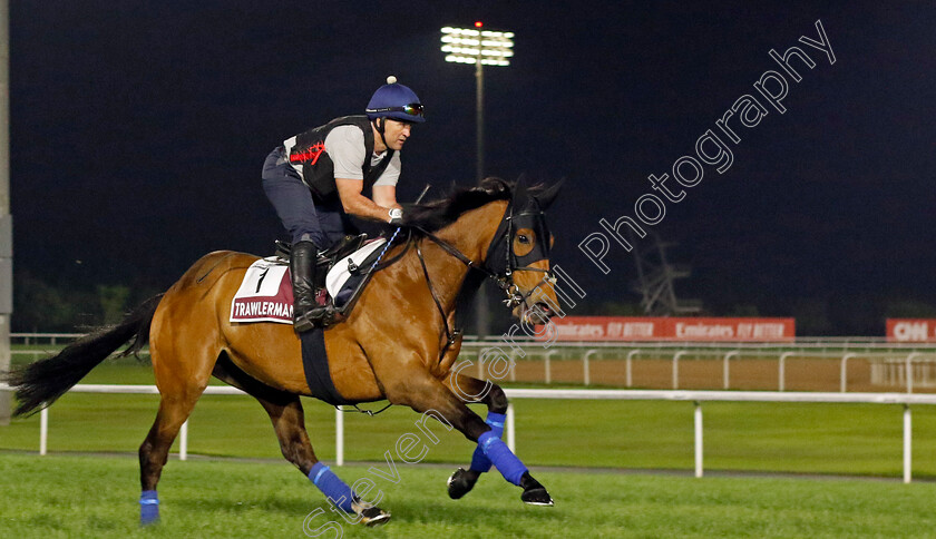 Trawlerman-0002 
 TRAWLERMAN training for The Dubai Gold Cup
Meydan Dubai 28 Mar 2024 - Pic Steven Cargill / Racingfotos.com