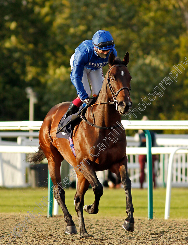 Arabic-Welcome-0001 
 ARABIC WELCOME (Oisin Murphy)
Lingfield 5 Aug 2020 - Pic Steven Cargill / Racingfotos.com