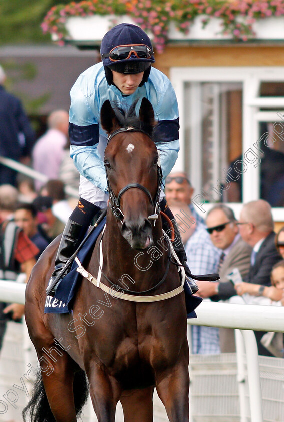 Royal-Patronage-0001 
 ROYAL PATRONAGE (Jason Hart) winner of The Tattersalls Acomb Stakes
York 18 Aug 2021 - Pic Steven Cargill / Racingfotos.com