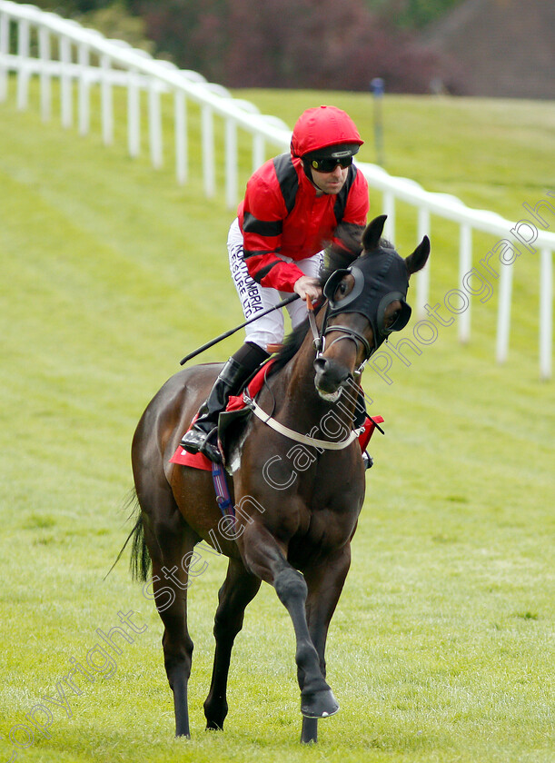 Deadly-Accurate-0001 
 DEADLY ACCURATE (Robert Winston)
Sandown 15 Jun 2018 - Pic Steven Cargill / Racingfotos.com