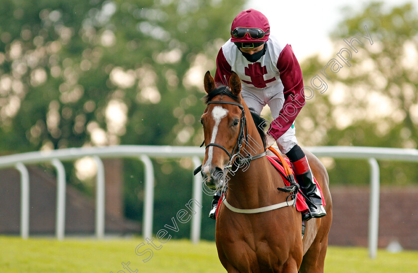 Fabiosa-0001 
 FABIOSA (Shane Kelly)
Sandown 27 May 2021 - Pic Steven Cargill / Racingfotos.com