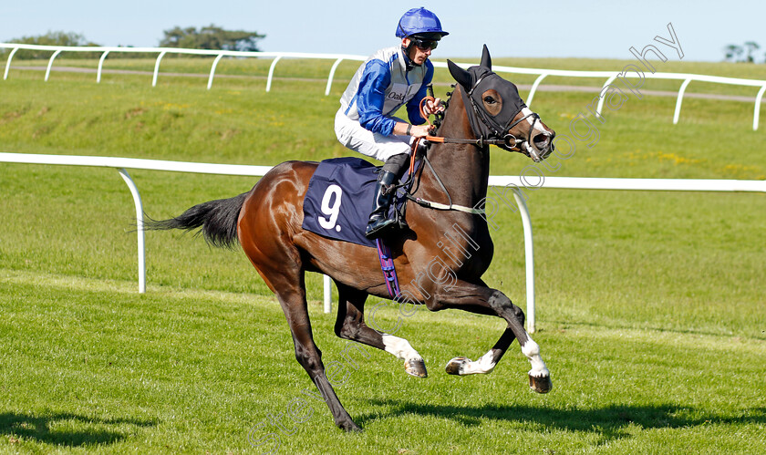 Contessa-Verde 
 CONTESSA VERDE (Thomas Greatrex)
Chepstow 27 May 2022 - Pic Steven Cargill / Racingfotos.com