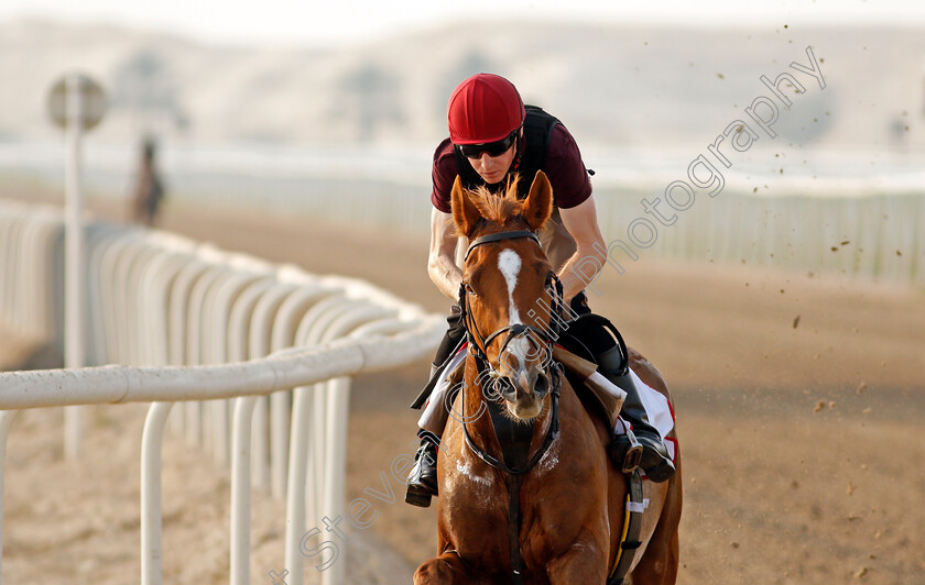 Sovereign-0009 
 SOVEREIGN training for the Bahrain International Trophy
Rashid Equestrian & Horseracing Club, Bahrain, 18 Nov 2020