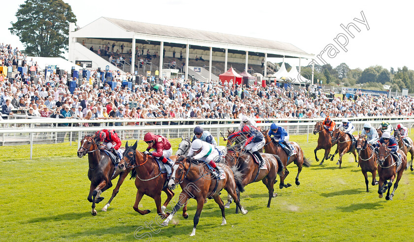 Tamreer-0001 
 TAMREER (2md left, Ben Curtis) beats CORELLI (right) and CARADOC (left) in The Sky Bet Handicap
York 23 Aug 2019 - Pic Steven Cargill / Racingfotos.com