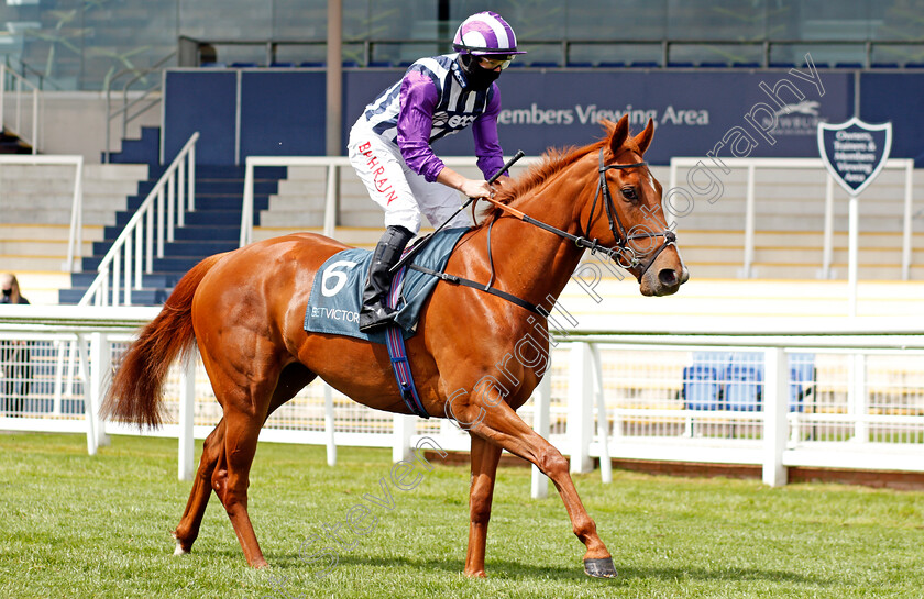 Mishal-Star-0001 
 MISHAL STAR (Tom Marquand)
Newbury 15 May 2021 - Pic Steven Cargill / Racingfotos.com