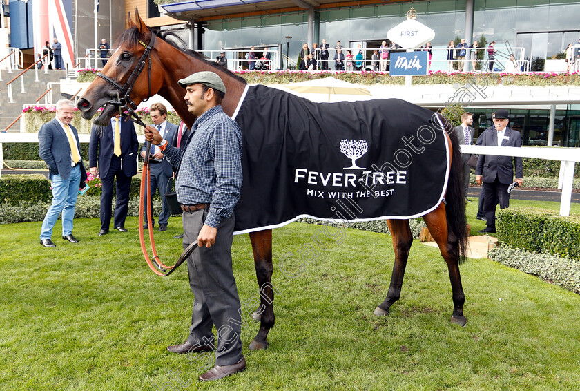 Fille-De-Reve-0008 
 FILLE DE REVE after The Fever-Tree Handicap
Ascot 8 Sep 2018 - Pic Steven Cargill / Racingfotos.com