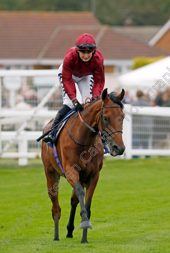 Divya-0001 
 DIVYA (Saffie Osborne)
Yarmouth 20 Sep 2023 - Pic Steven Cargill / Racingfotos.com