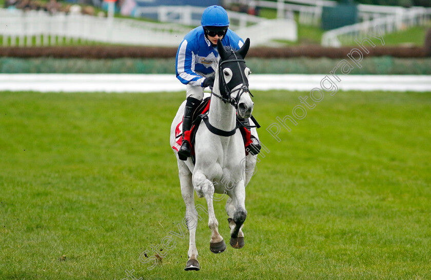 Sacre-Coeur-0001 
 SACRE COEUR (Tristan Durrell)
Sandown 3 Feb 2024 - Pic Steven Cargill / Racingfotos.com