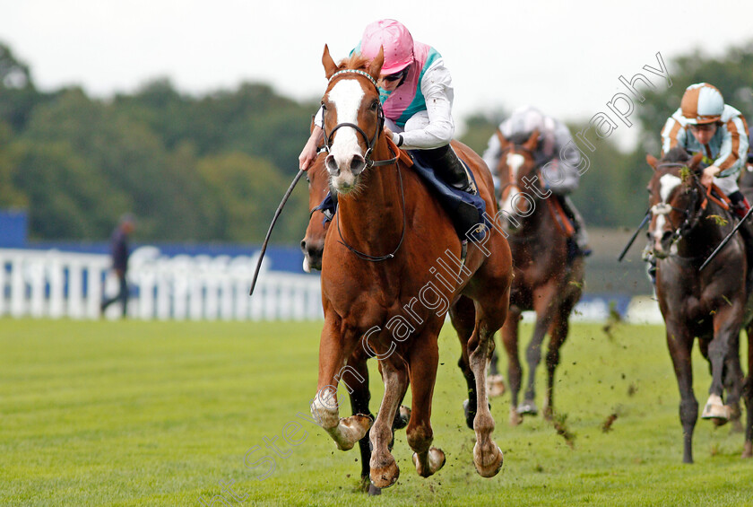 Herculean-0006 
 HERCULEAN (Ryan Moore) wins The Charbonnel Et Walker British EBF Maiden Stakes Ascot 8 Sep 2017 - Pic Steven Cargill / Racingfotos.com