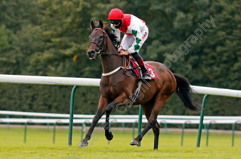 Dazzling-Dan-0002 
 DAZZLING DAN (Dougie Costello)
Haydock 4 Sep 2020 - Pic Steven Cargill / Racingfotos.com