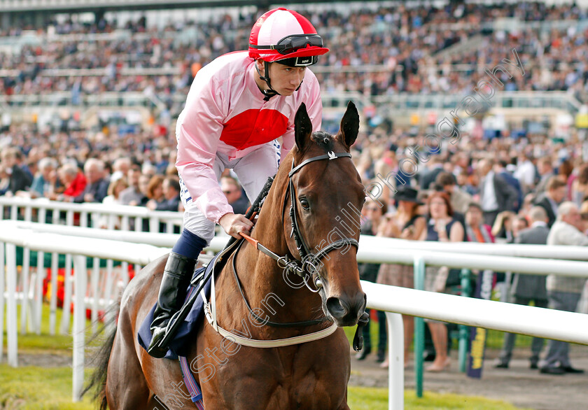 Dream-Today-0002 
 DREAM TODAY (Oisin Murphy) Doncaster 16 Sep 2017 - Pic Steven Cargill / Racingfotos.com