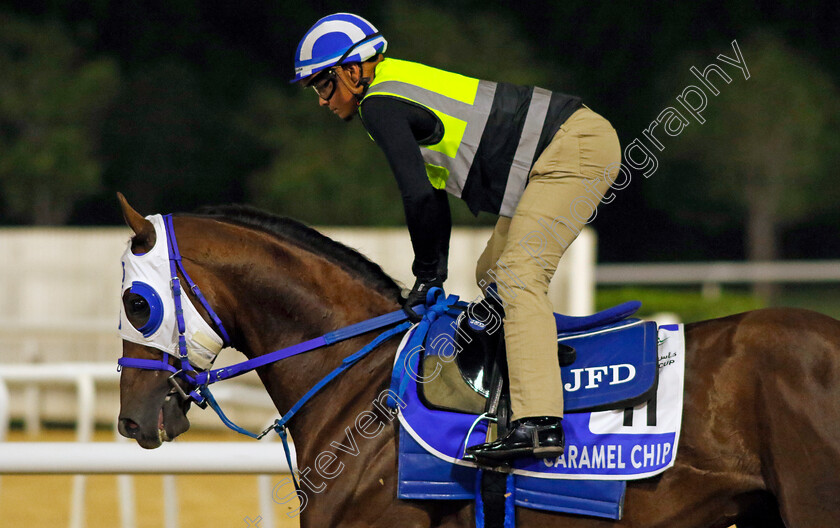 Caramel-Chip-0001 
 CARAMEL CHIP training for The Godolphin Mile
Meydan Dubai 26 Mar 2024 - Pic Steven Cargill / Racingfotos.com