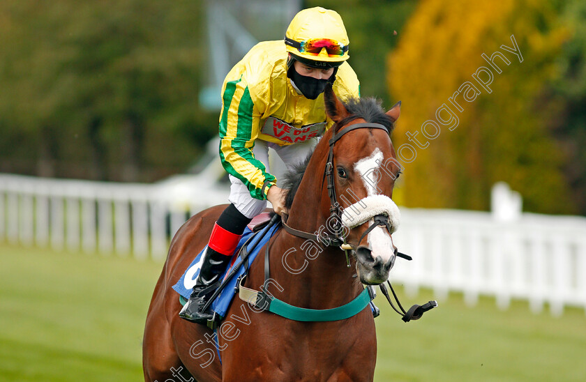 Montjuic-Force-0001 
 MONTJUIC FORCE (Cieren Fallon)
Salisbury 1 Oct 2020 - Pic Steven Cargill / Racingfotos.com