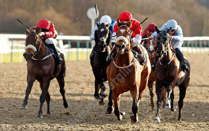 Crimewave-0005 
 CRIMEWAVE (Laura Pearson) wins The Betway Handicap
Lingfield 29 Jan 2021 - Pic Steven Cargill / Racingfotos.com