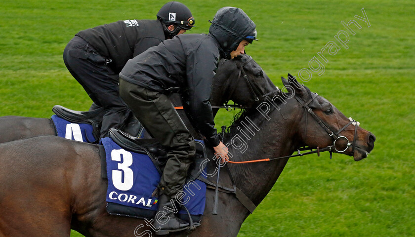 Threeunderthrufive-and-Kapcorse-0003 
 THREEUNDERTHRUFIVE (nearside, Adrian Heskin) with KAPCORSE (farside, A P McCoy) at Coral Gold Cup Weekend Gallops Morning
Newbury 15 Nov 2022 - Pic Steven Cargill / Racingfotos.com